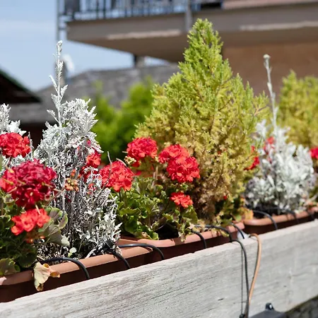 Maison Le Cre 3 Dom wakacyjny Introd